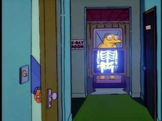 Les Simpson S08E10 (8)