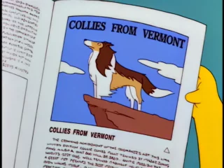 Les Simpson S08E20 (13)