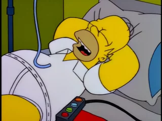Les Simpson S09E07 (36)